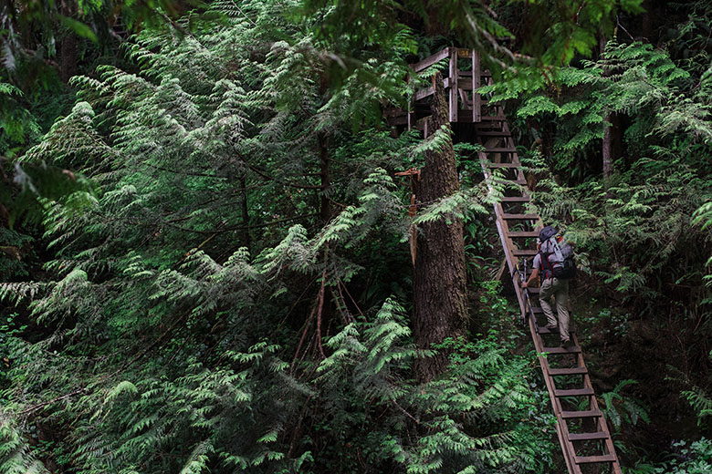 Backpacking Vancouver Island