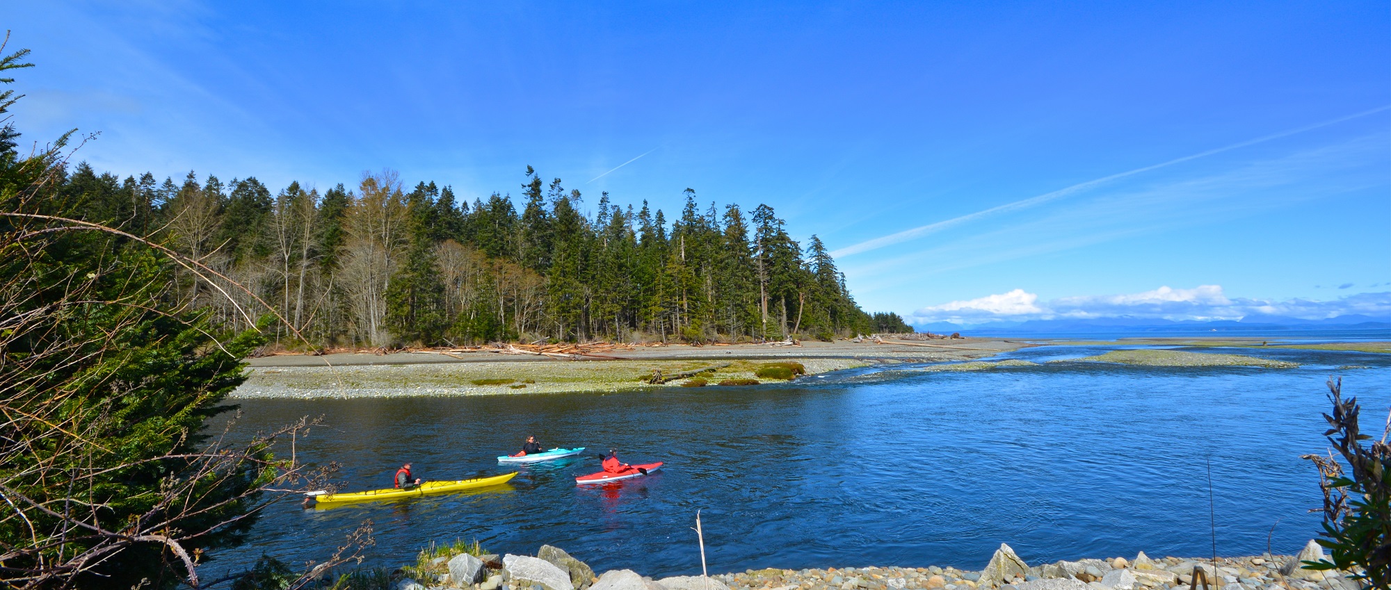 Black Creek Vancouver Island