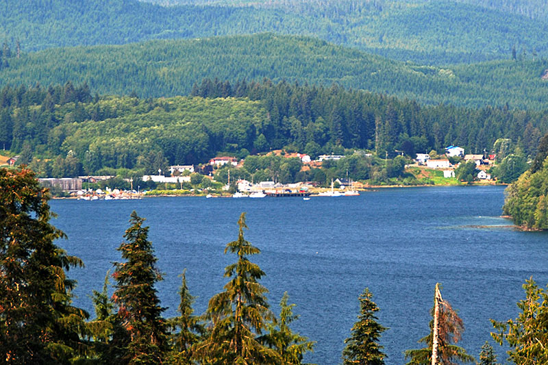 Coal Harbour Vancouver Island Bc