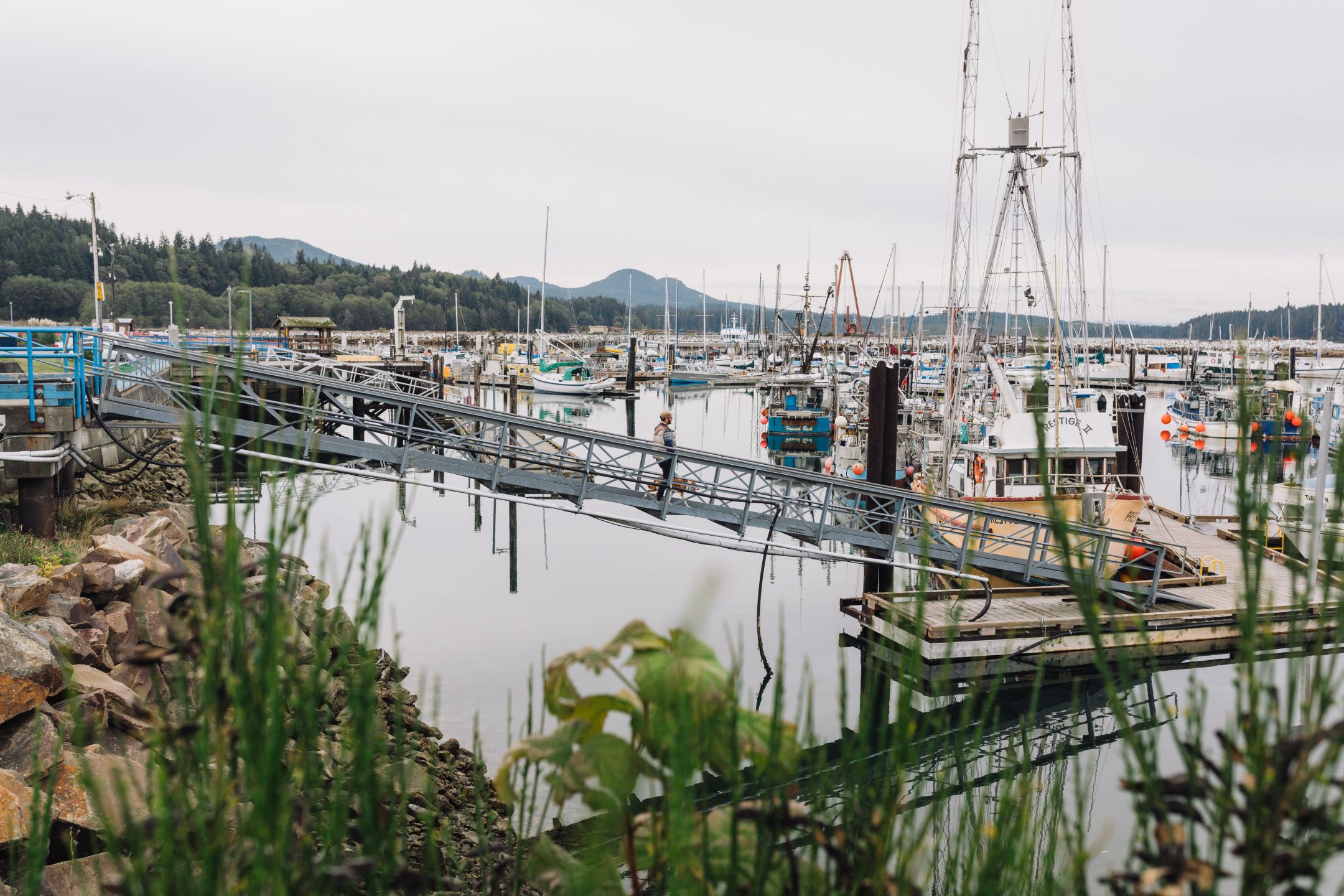 Port Mcneill Vancouver Island