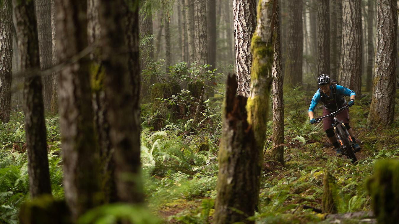 Vancouver Island Bike