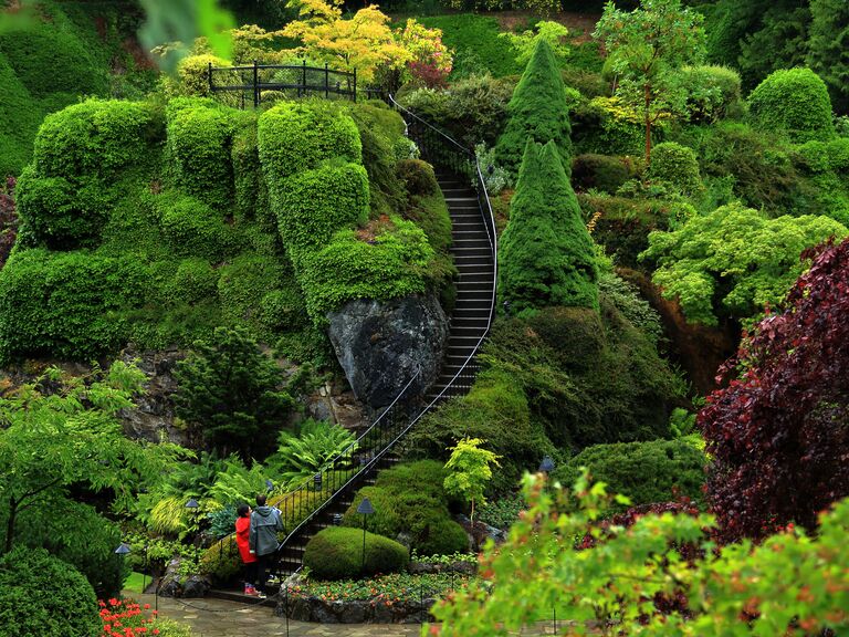 Vancouver Island Honeymoon